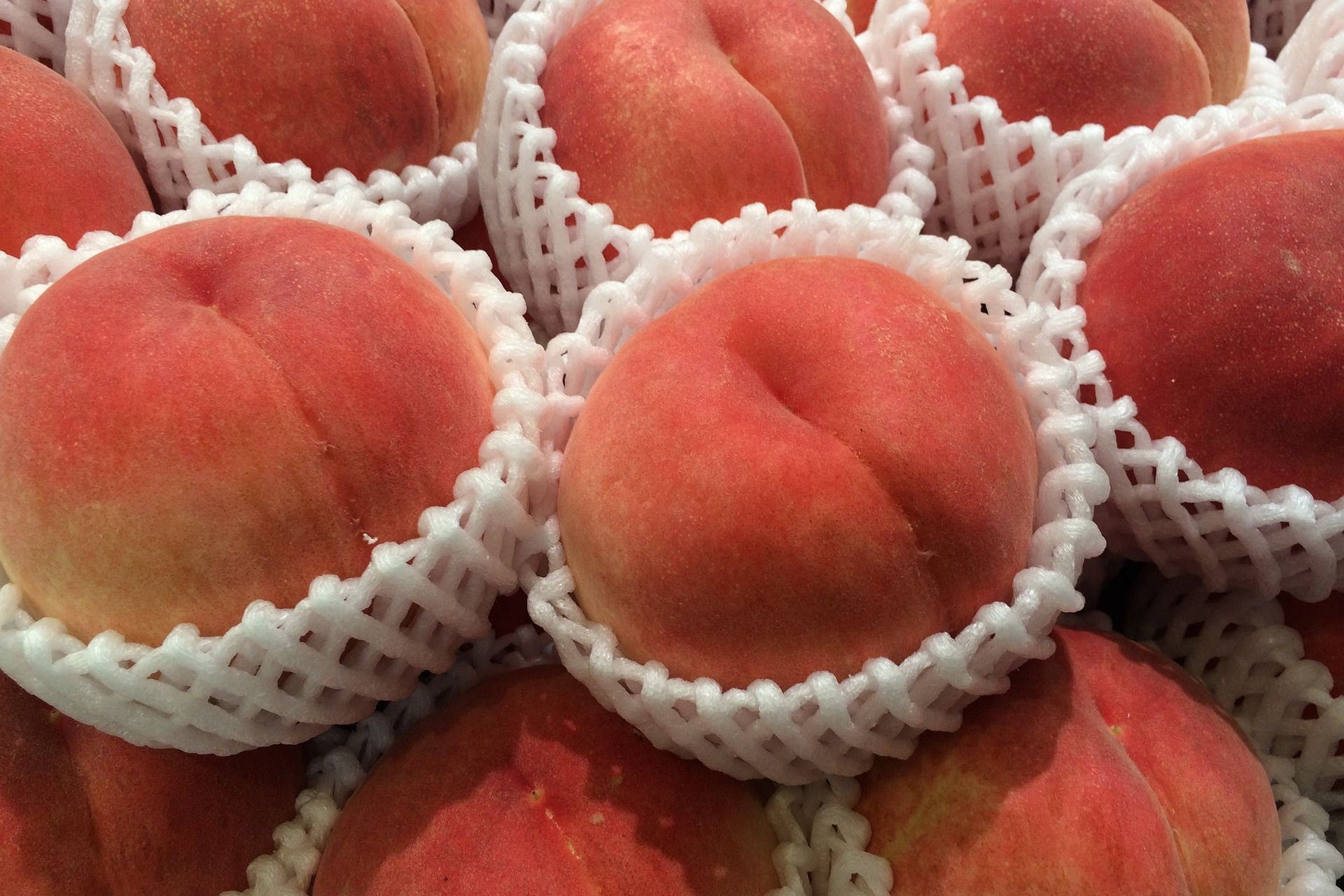 peach-1630506_1920